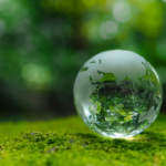 Hablemos de impacto: "La Huella de Carbono como medida de progreso"